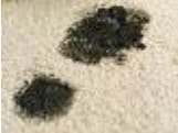 Can you remove soot from my cream carpet?