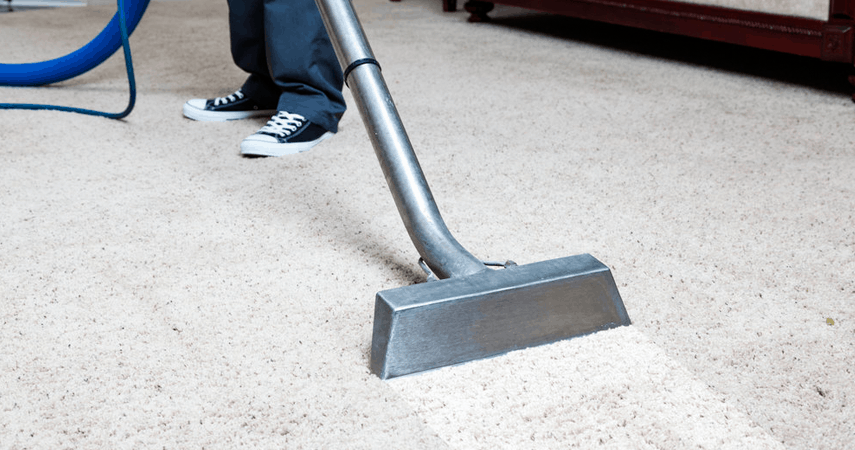 The Pitfalls and True Costs of Cheap Carpet Cleaning